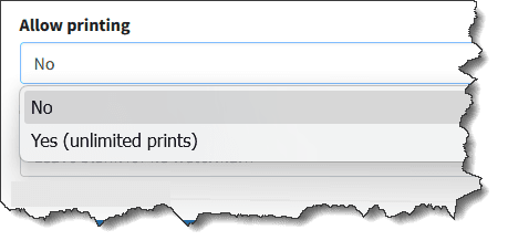 Allow printing